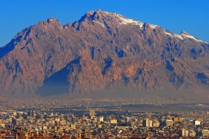 سرویس سراسری